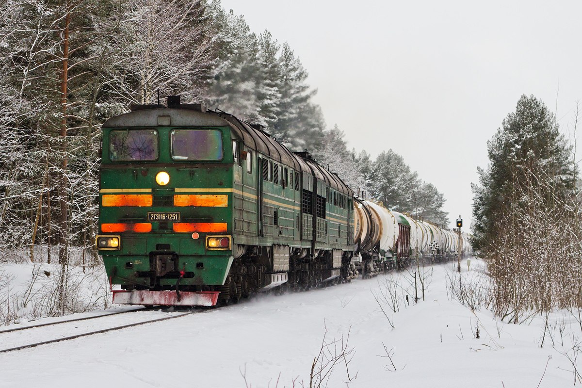 поезд зимой 
